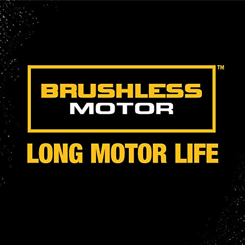 DEWALT DCK296M2 20V XR Lithium Ion Brushless Premium Hammerdrill and Impact Driver Combo Kit