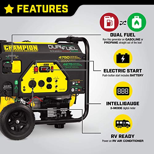 Champion Power Equipment 76533 3800-Watt Dual Fuel RV Ready Portable Generator with Electric Start
