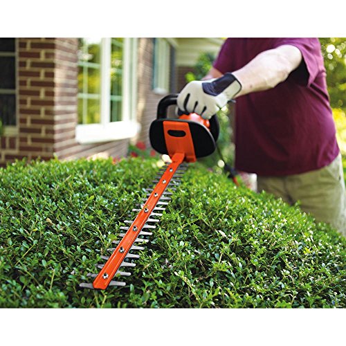 BLACK+DECKER Hedge Trimmer, Rotating Handle, Dual Blade Action Blades, 3.3-Amp, 24-Inch (HH2455)