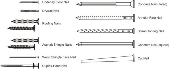 The 21 Main Types of Nails [The Ultimate Guide]