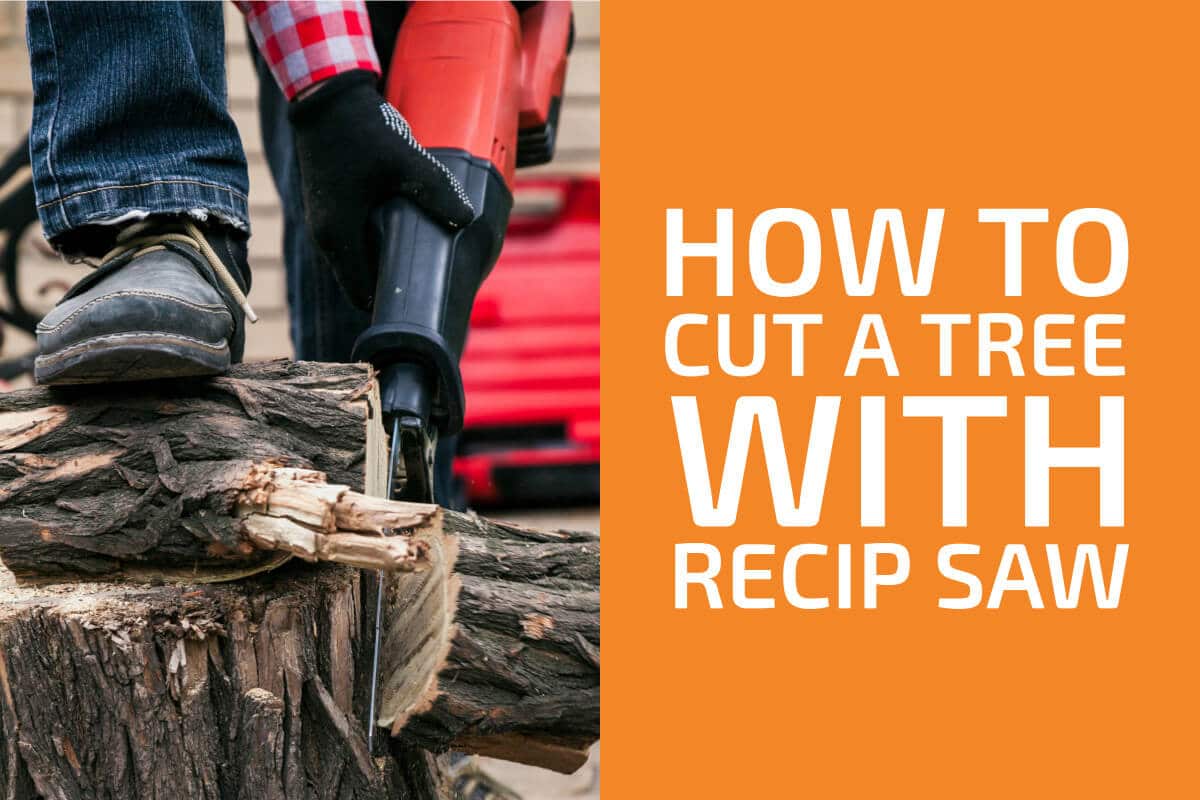 How to Cut Down a Tree with a Reciprocating Saw [4 Steps]