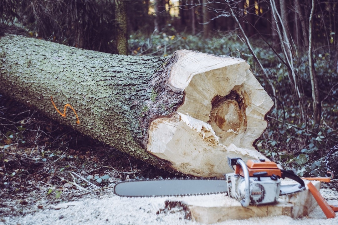 How Does An Electric Chainsaw Work? [The Ultimate Guide]