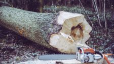 How To Run A Chainsaw? Chainsaw Operations for Beginners