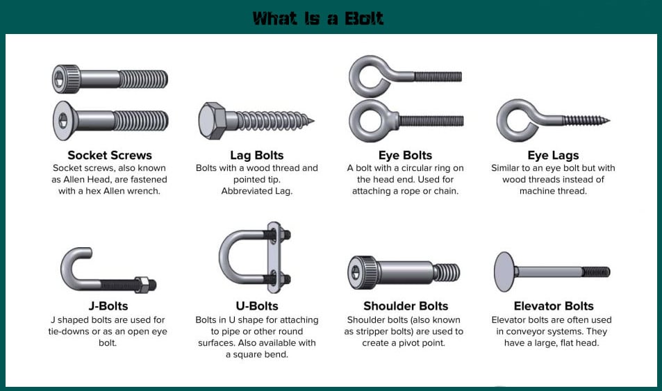 Nut vs. Bolt vs. Screw -  [Categories, Types & Charts]