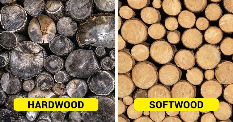 Hardwood vs. Softwood Burning Time