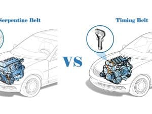 What Is A Serpentine Belt vs Timing Belt [Don't Get Confused]